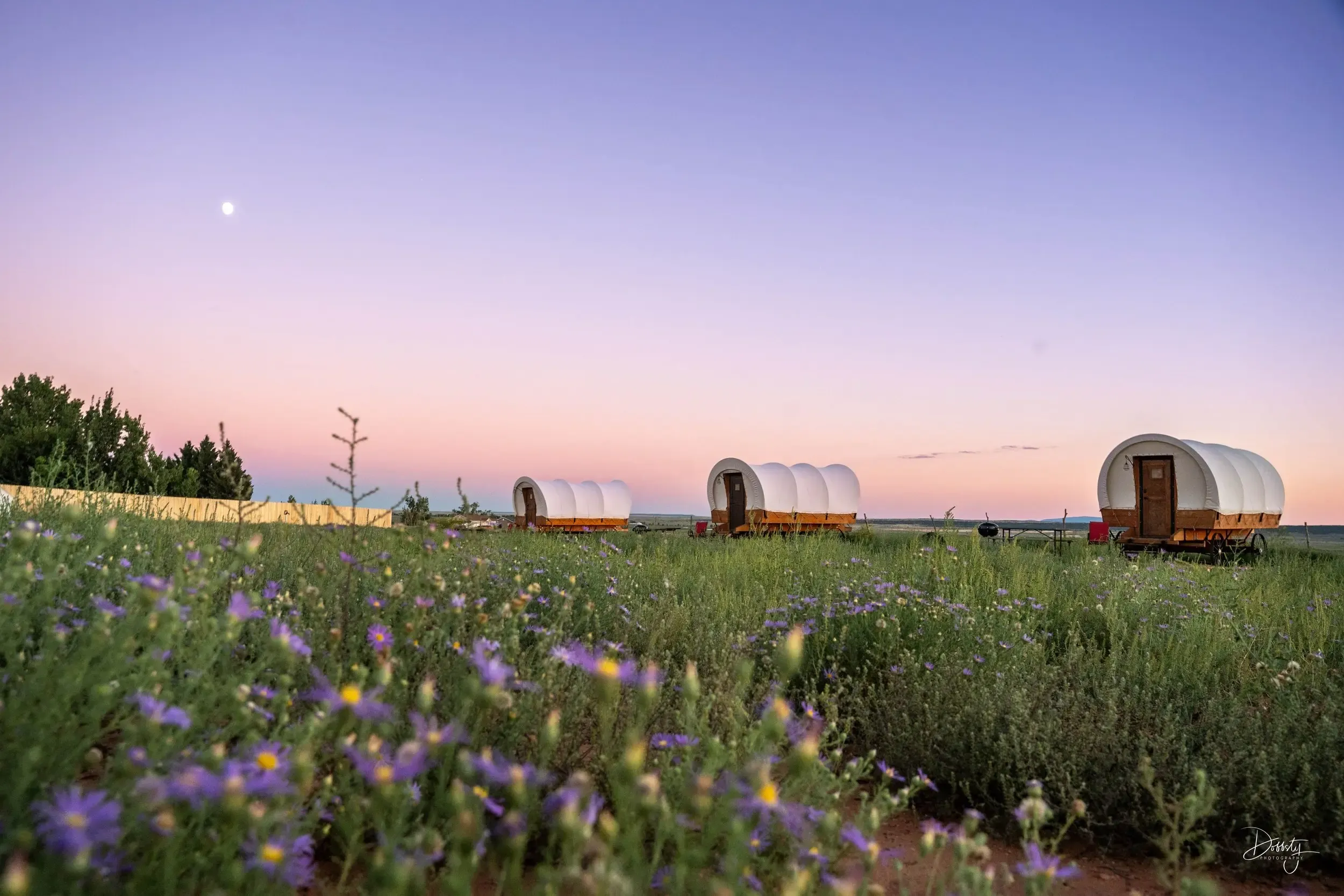 Desert Sage Retreat